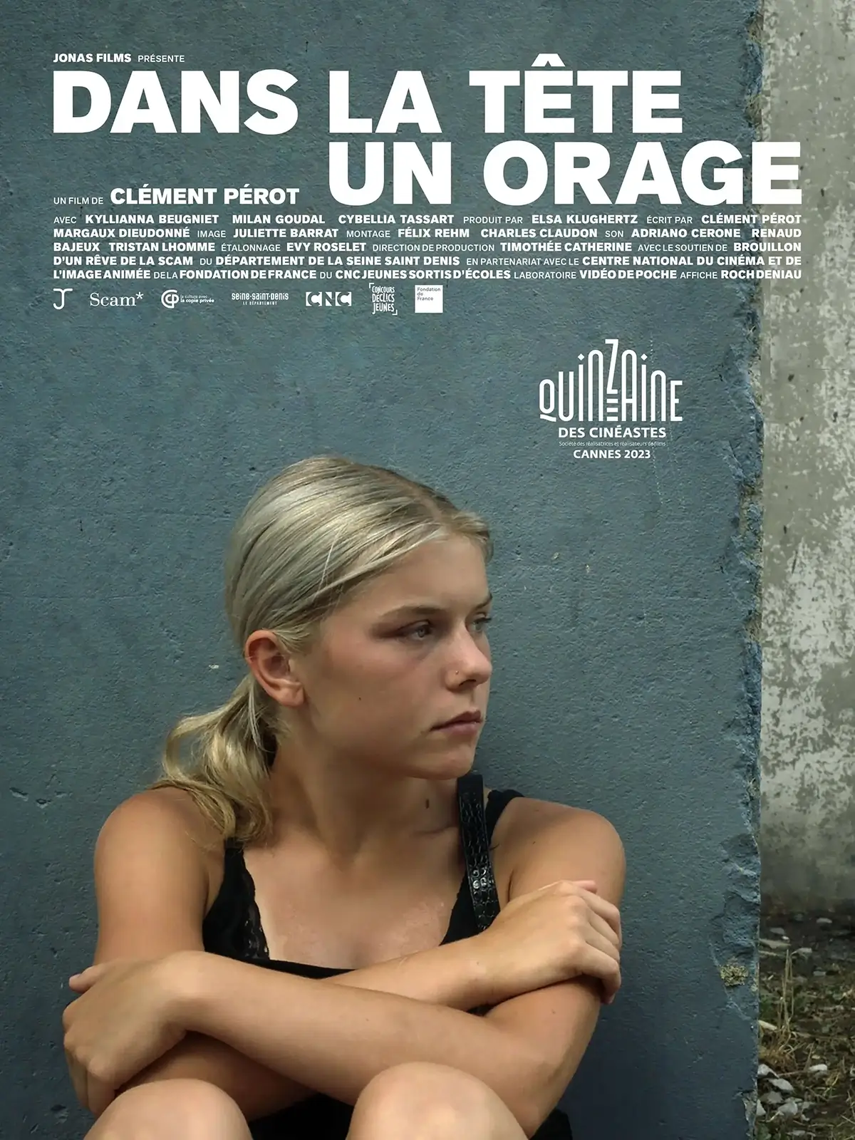 Affiche du film 'Dans la tête un orage'